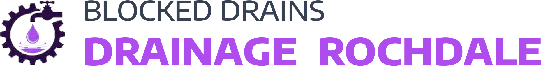 website logo